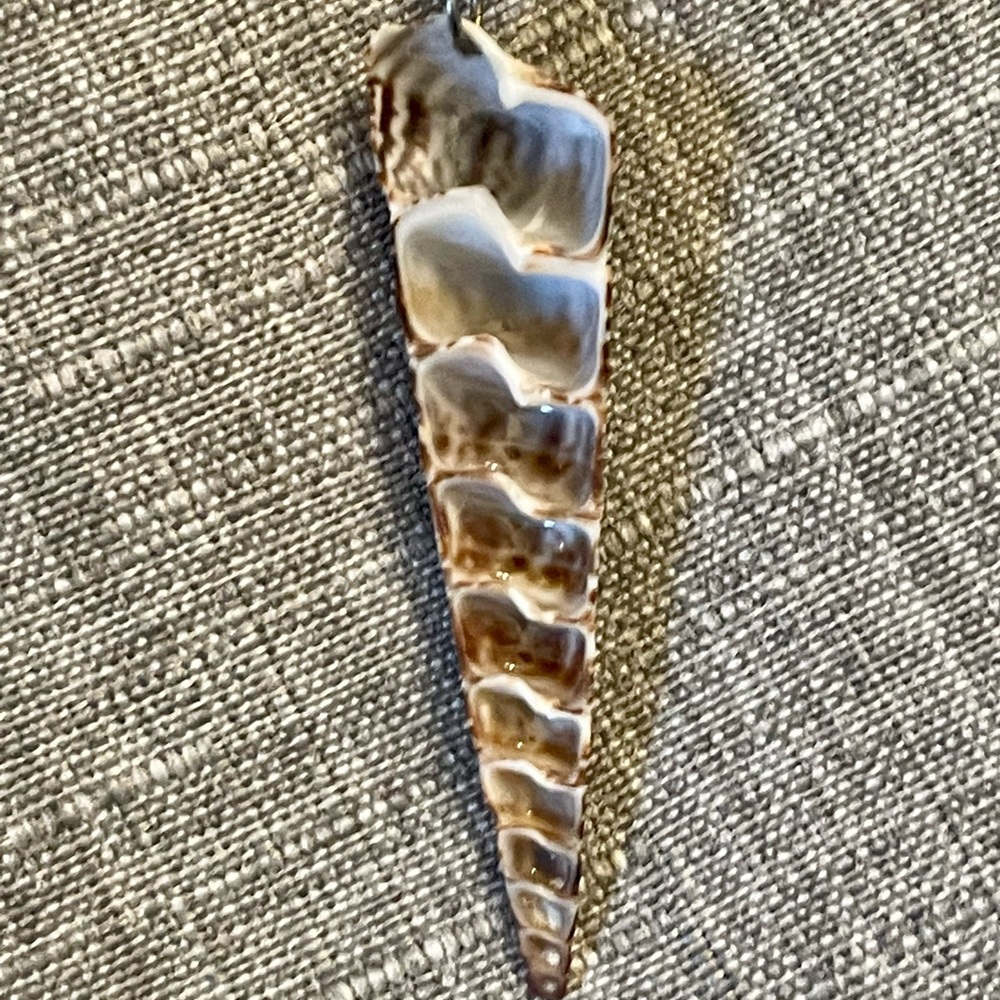 Long Shell Necklace - Picture 4 of 5